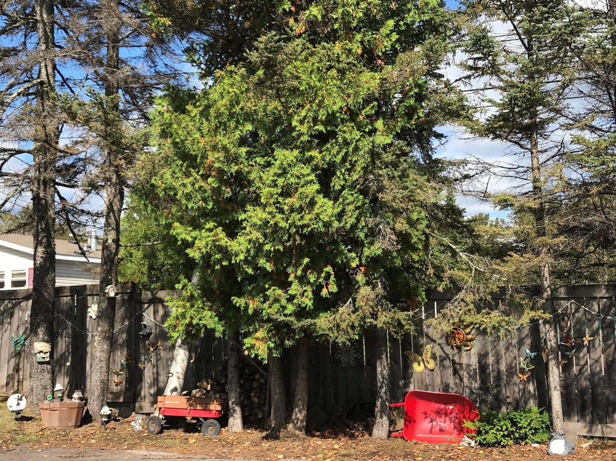 Voyageur Motel トゥーハーバーズ エクステリア 写真